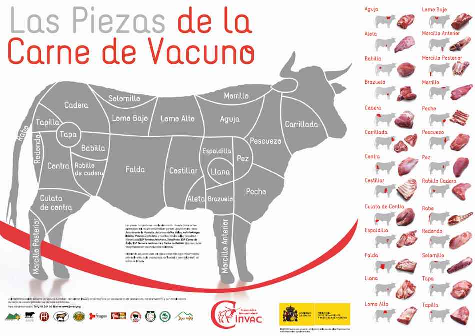 Tipos De Carnes